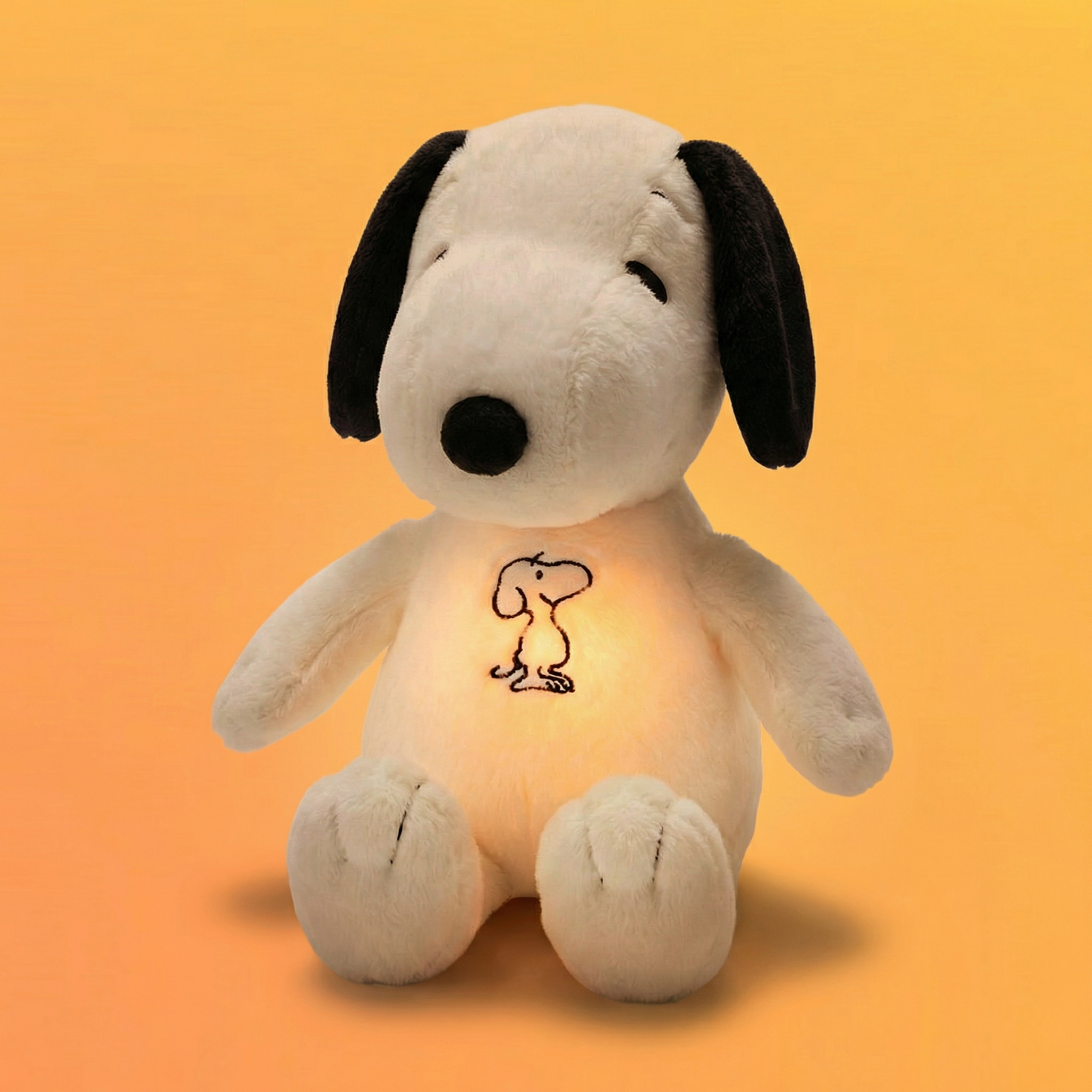 Pooky - Snoopy